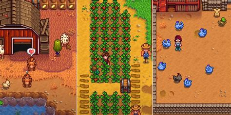 how to increase farming skill stardew valley|Stardew Valley Farming Level: Full Guide to .